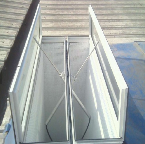 Smoke exhaust skylight